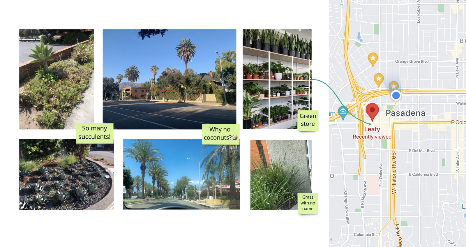 Virtual tour of Pasadena Street Greening